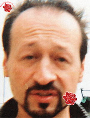 Cymon Palvolgyi – profile image