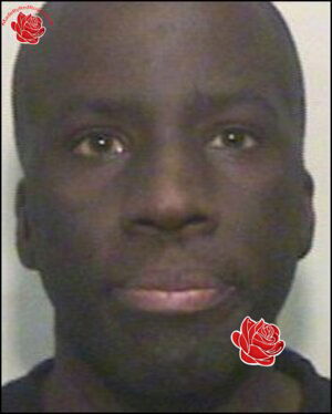 Gene Morrison – profile image