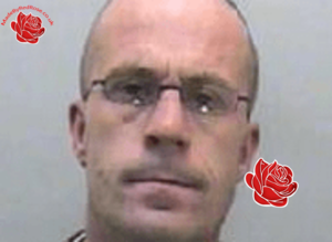 David Nockolds – profile image