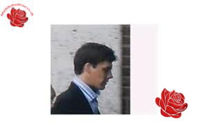 Lewis Harris – profile image