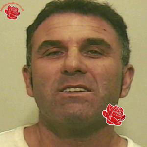 Stephen Bailey – profile image