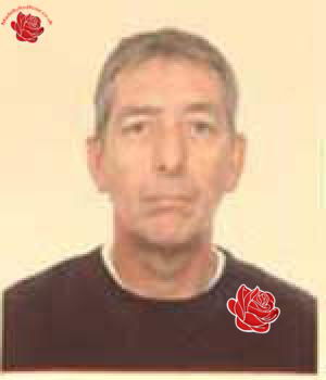 Roy Chapman – profile image