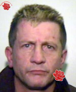 Neil Jones – profile image