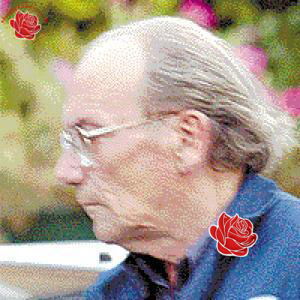 Alan Bates – profile image