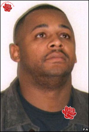 James Gardner – profile image