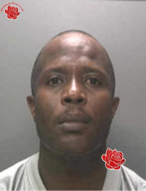 Nigel Edwards – profile image
