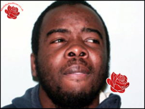 Ramone Martins – profile image