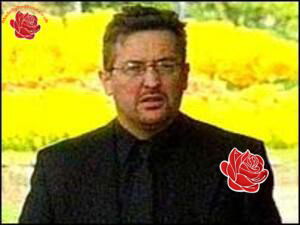 Steven Walters – profile image