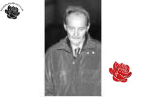 John Gunn – profile image