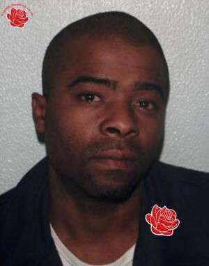 Albert Wallace – profile image