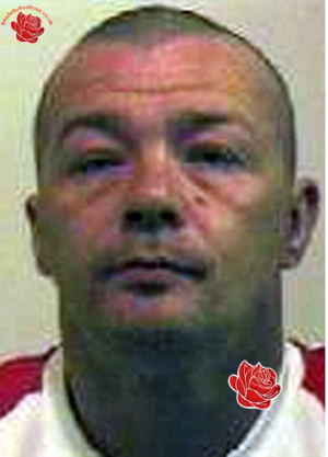 Stephen Gosling – profile image