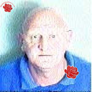 John Bryant / David Tilsed – profile image