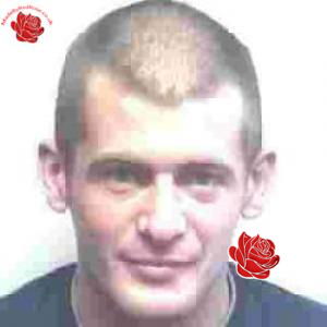 Gareth Newman – profile image
