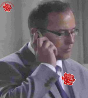 Stephen Brown – profile image