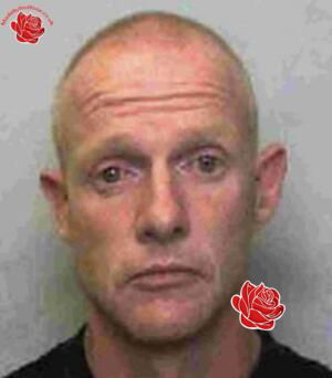 Matthew Palmer – profile image