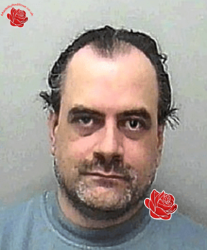 Stephen Harris – profile image