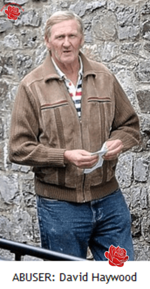 David Haywood – profile image