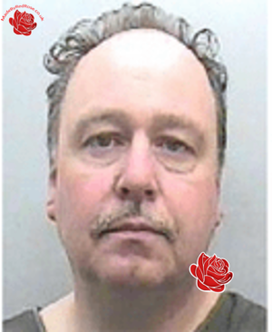 Stephen Allford – profile image