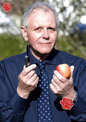 Rodney Knowles – profile image
