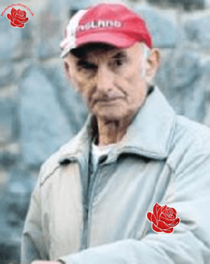 James Harvey – profile image