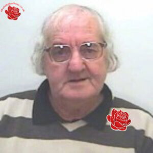 Derek Palmer – profile image