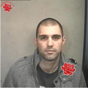 Daniel Taylor – profile image