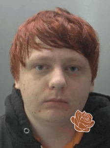 Kyle Rolfe – profile image