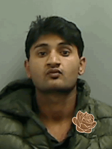 Haider Ali – profile image