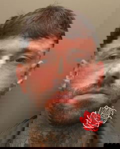 Jack Trollope – profile image