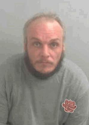 Steven Pearson – profile image