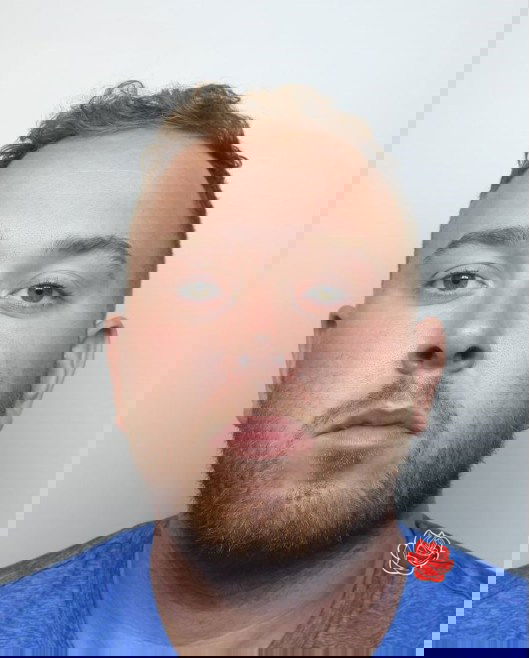 Daniel Whelan – profile image