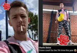 Charlie Steine – profile image