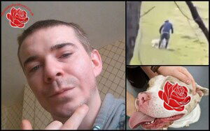 Christopher Smith – profile image