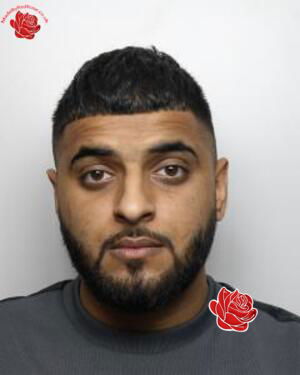 Hamza Ali – profile image
