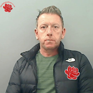 Anthony Insall – profile image