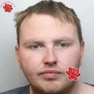 Rory Mulcahy – profile image