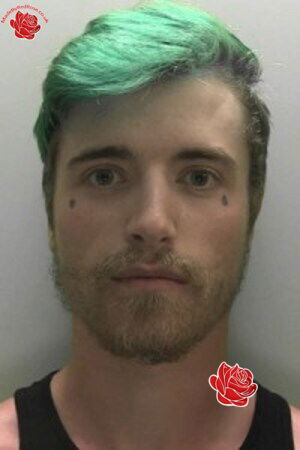 Declan Wilson – profile image