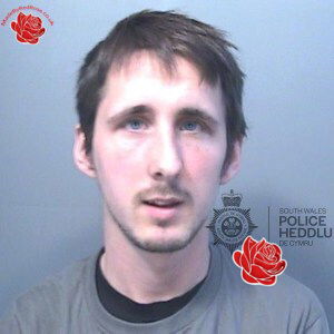 Tommy Allington – profile image