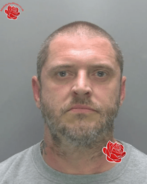 Paul Page – profile image