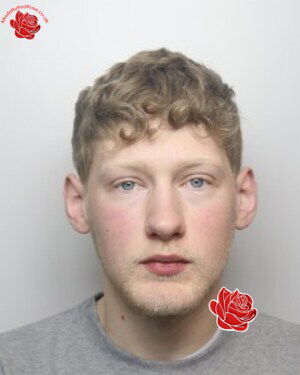 Callum Dobing – profile image