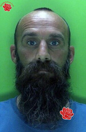 David Harcombe – profile image