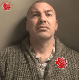 Andrew Contento – profile image