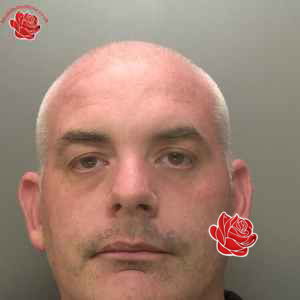 Stephen Powell – profile image