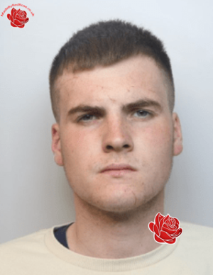 Michael Pick – profile image