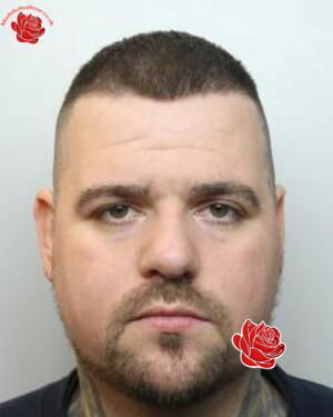 Daniel Shaw – profile image