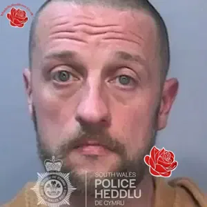 Stephen Harris – profile image