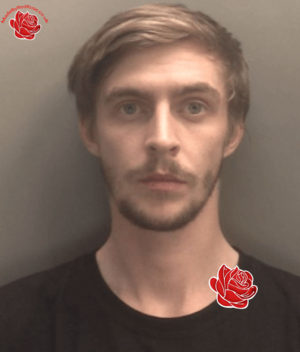 Lewis Hudson – profile image