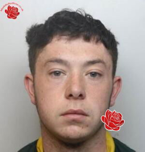Louis Griffiths – profile image