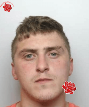Andrew Newton – profile image
