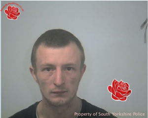 Graeme Reed – profile image